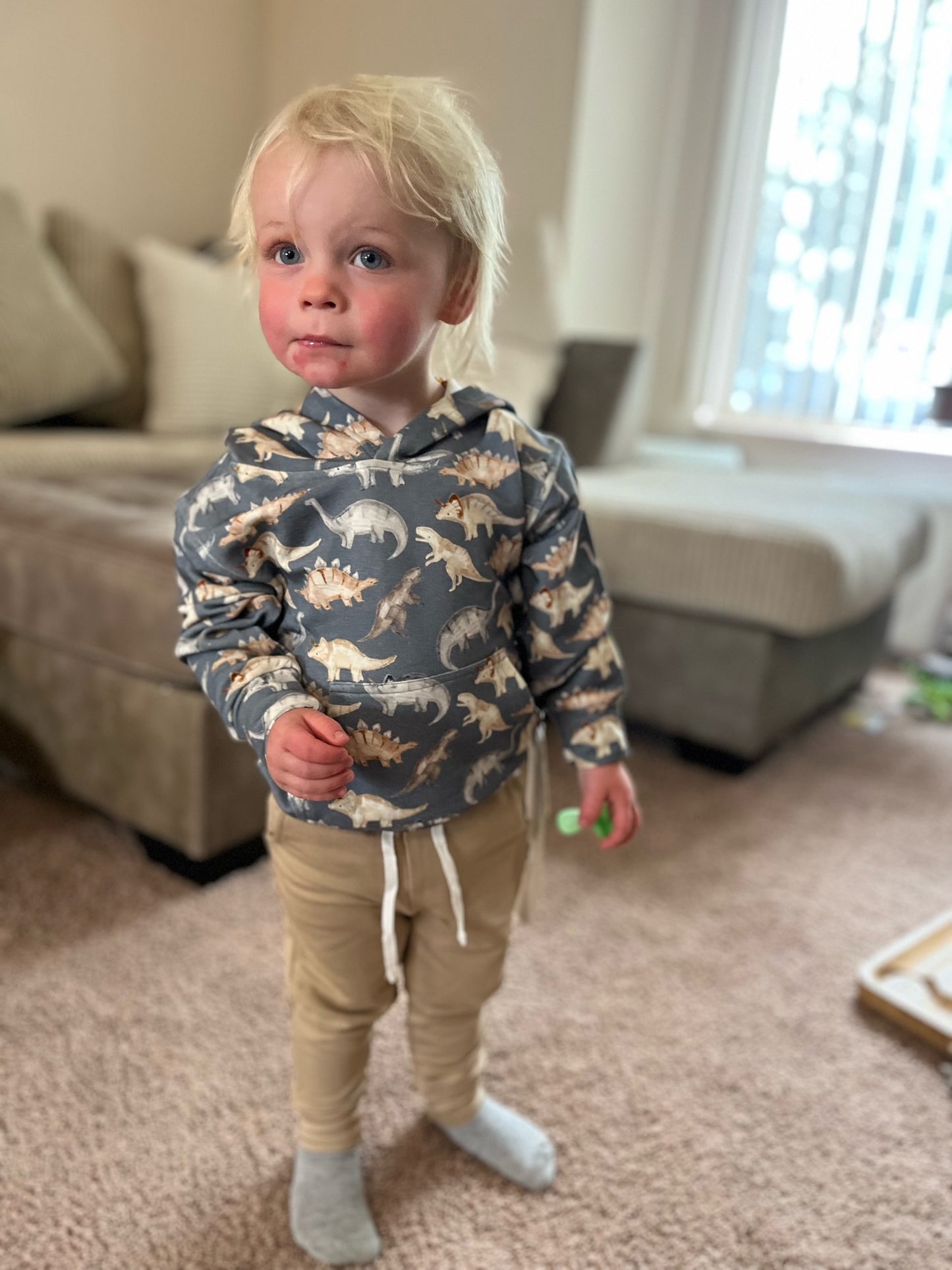 Slate Dinosaur Bamboo Hoodie